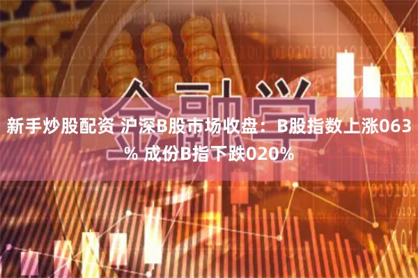 新手炒股配资 沪深B股市场收盘：B股指数上涨063% 成份B指下跌020%