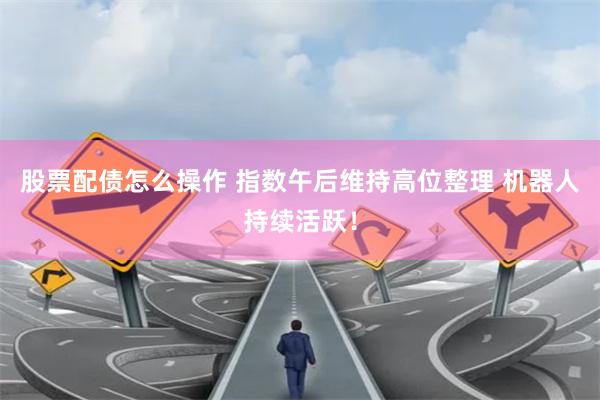股票配债怎么操作 指数午后维持高位整理 机器人持续活跃！
