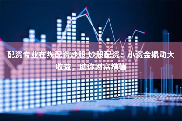 配资专业在线配资炒股 炒股配资：小资金撬动大收益，助你财富增值